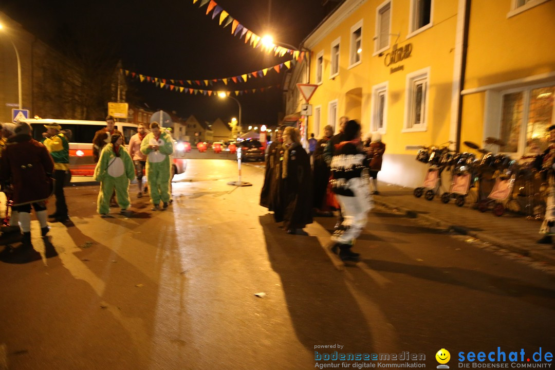 Nachtumzug - 700 JAHRE MORGARTEN: Stockach am Bodensee, 31.01.2015