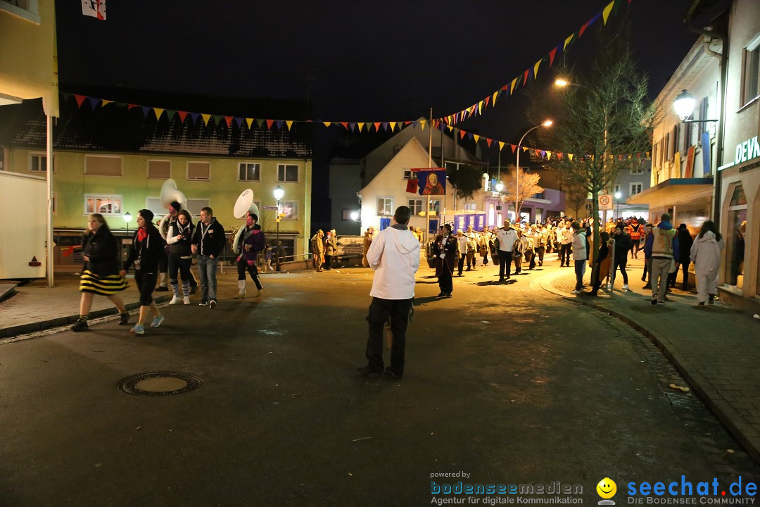 Nachtumzug - 700 JAHRE MORGARTEN: Stockach am Bodensee, 31.01.2015