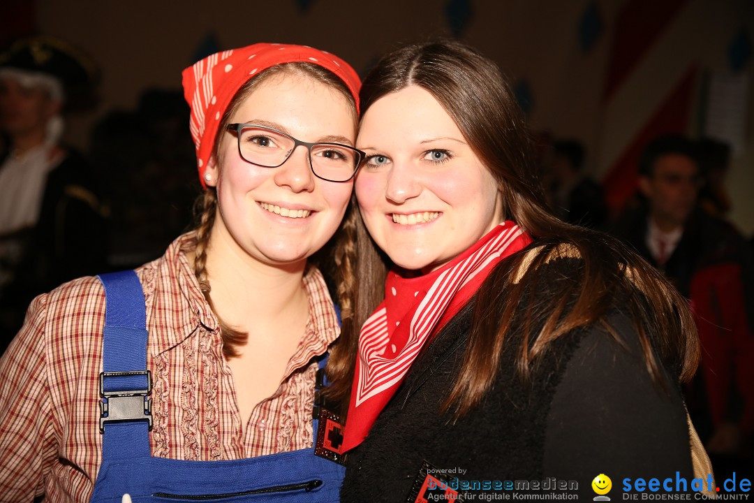 Narrentreffen und Narrenparty: Stockach am Bodensee, 31.01.2015