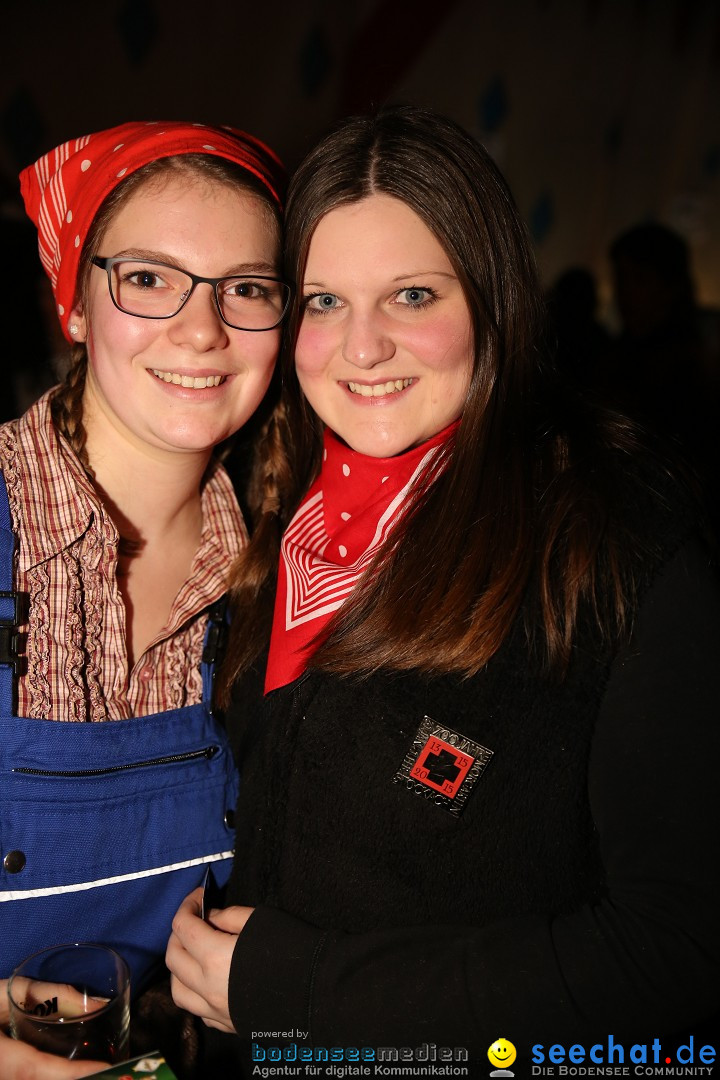 Narrentreffen und Narrenparty: Stockach am Bodensee, 31.01.2015