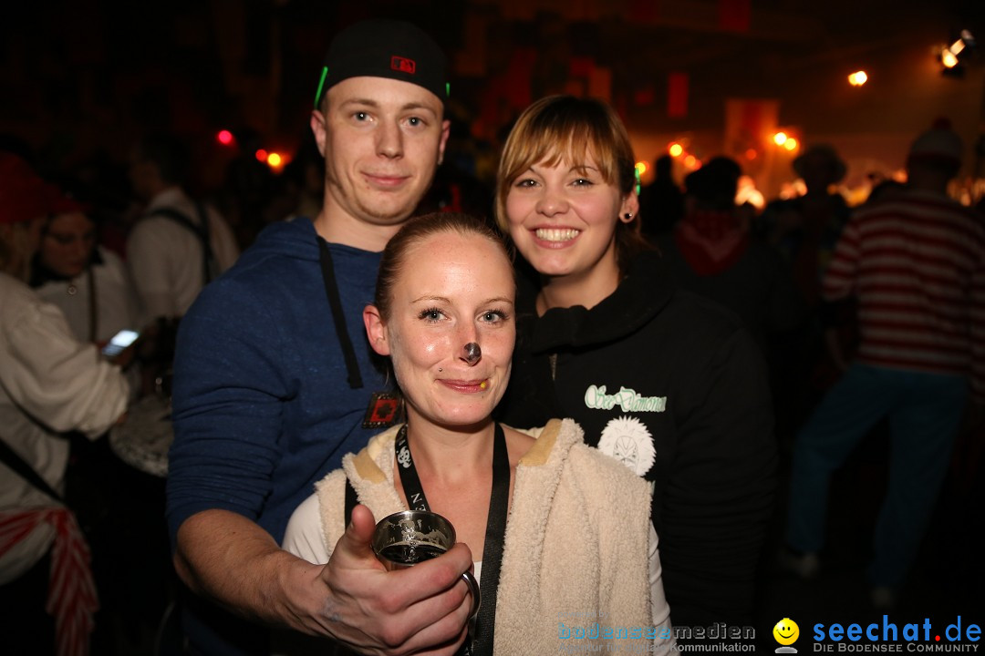 Narrentreffen und Narrenparty: Stockach am Bodensee, 31.01.2015