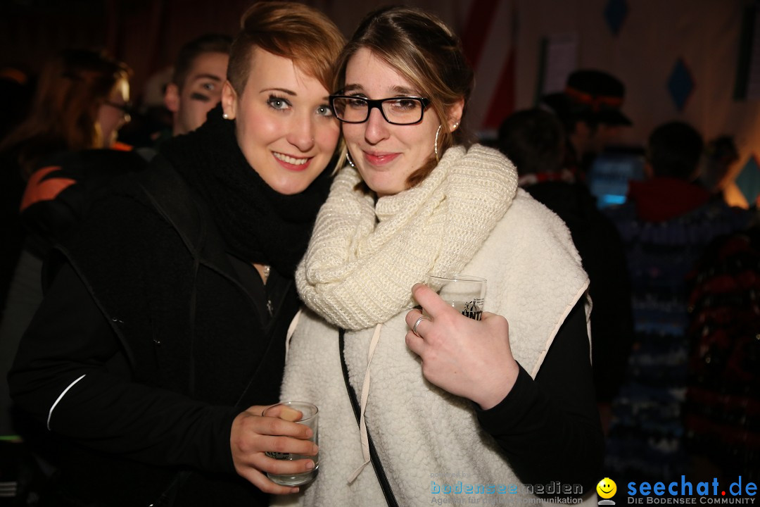 Narrentreffen und Narrenparty: Stockach am Bodensee, 31.01.2015