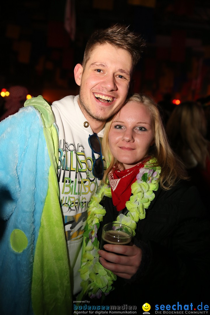 Narrentreffen und Narrenparty: Stockach am Bodensee, 31.01.2015