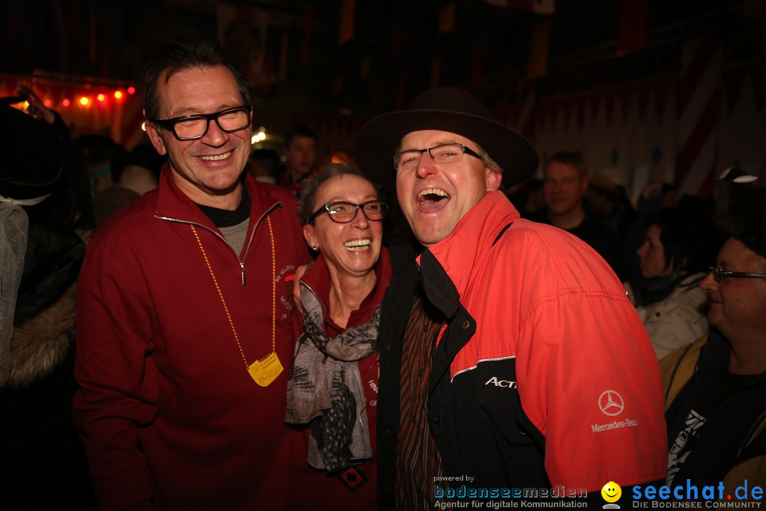 Narrentreffen und Narrenparty: Stockach am Bodensee, 31.01.2015