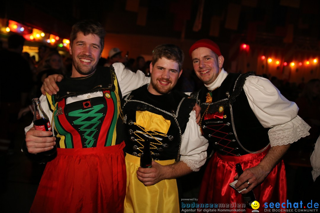 Narrentreffen und Narrenparty: Stockach am Bodensee, 31.01.2015