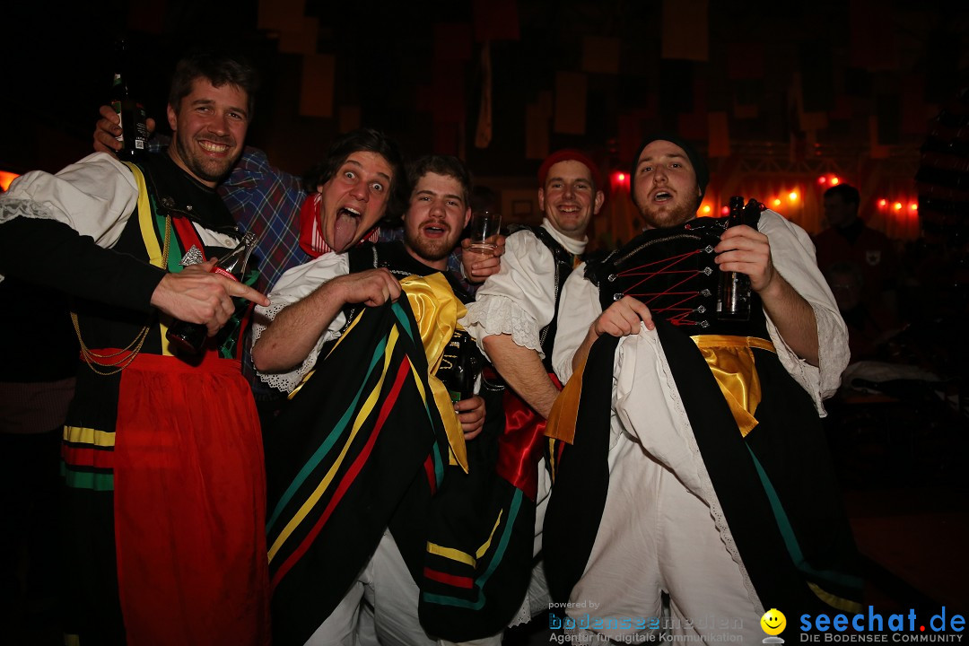 Narrentreffen und Narrenparty: Stockach am Bodensee, 31.01.2015