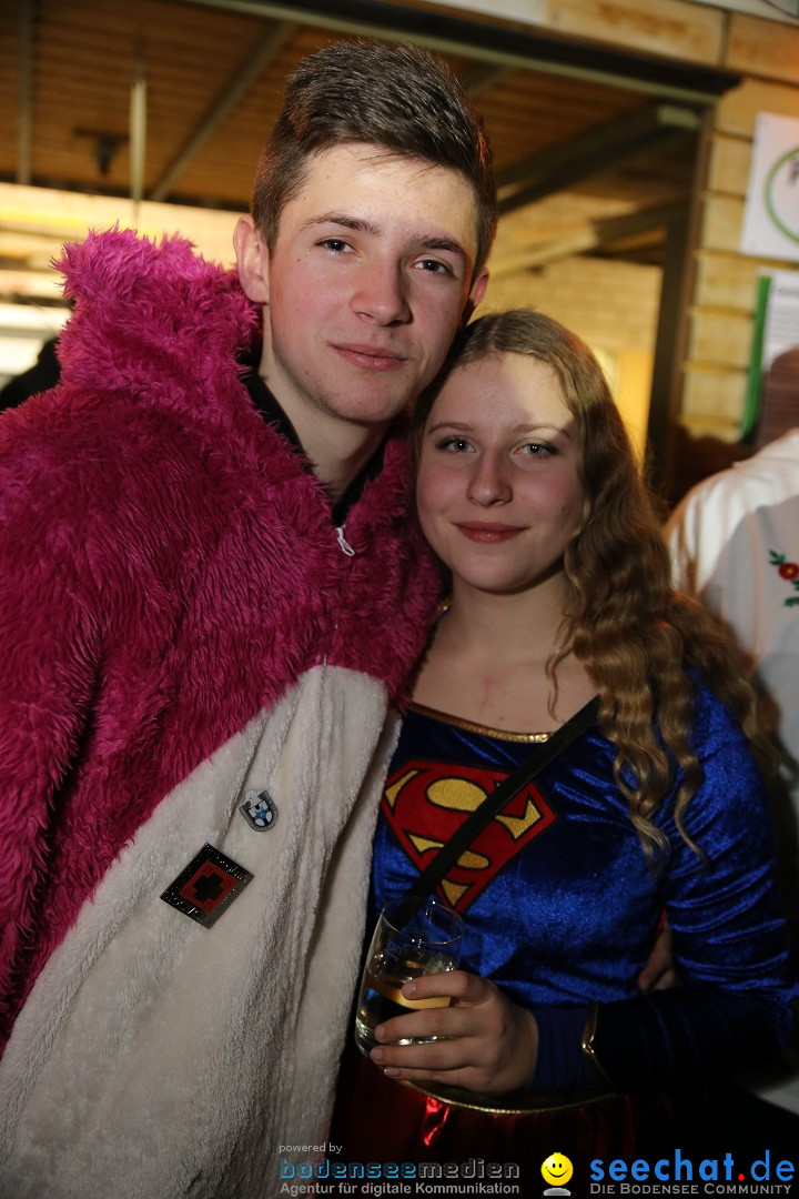 Narrentreffen und Narrenparty: Stockach am Bodensee, 31.01.2015