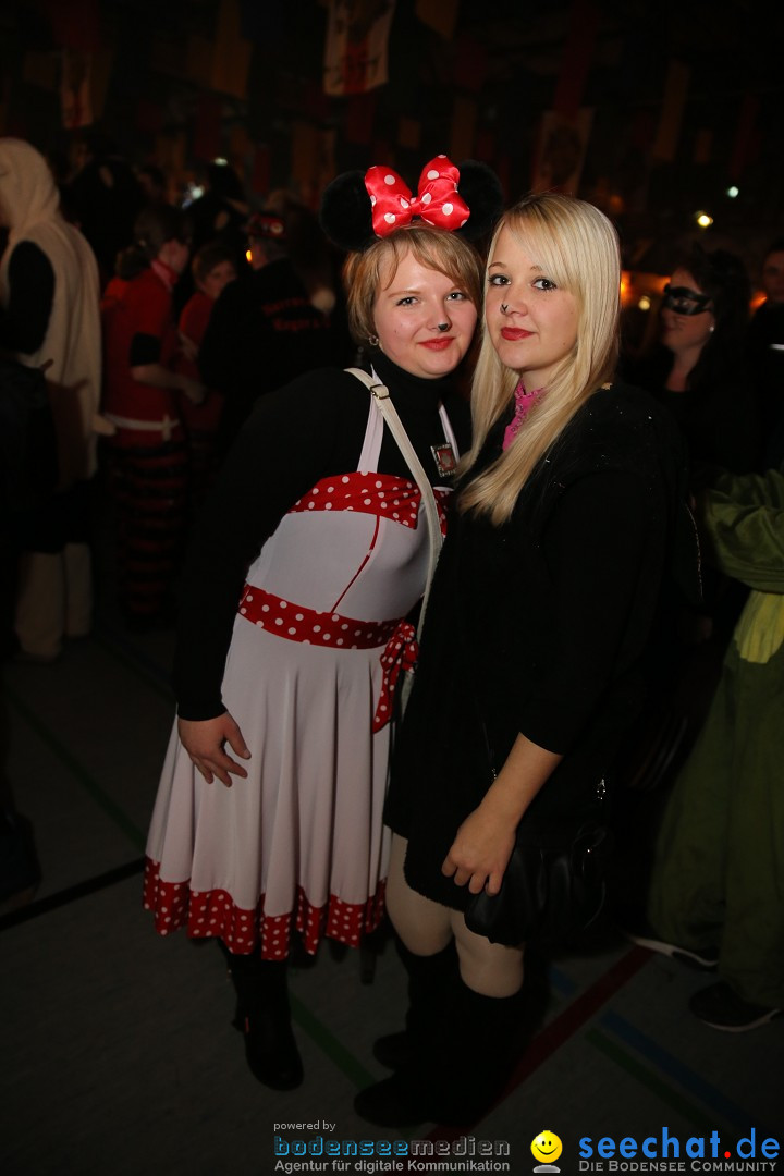 Narrentreffen und Narrenparty: Stockach am Bodensee, 31.01.2015