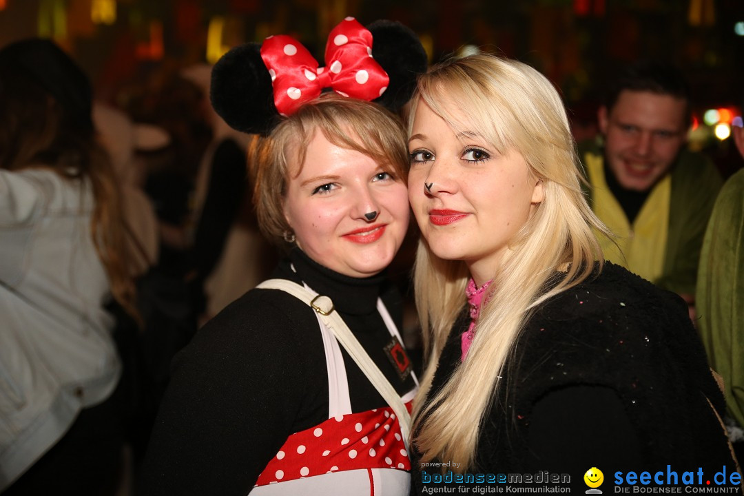 Narrentreffen und Narrenparty: Stockach am Bodensee, 31.01.2015