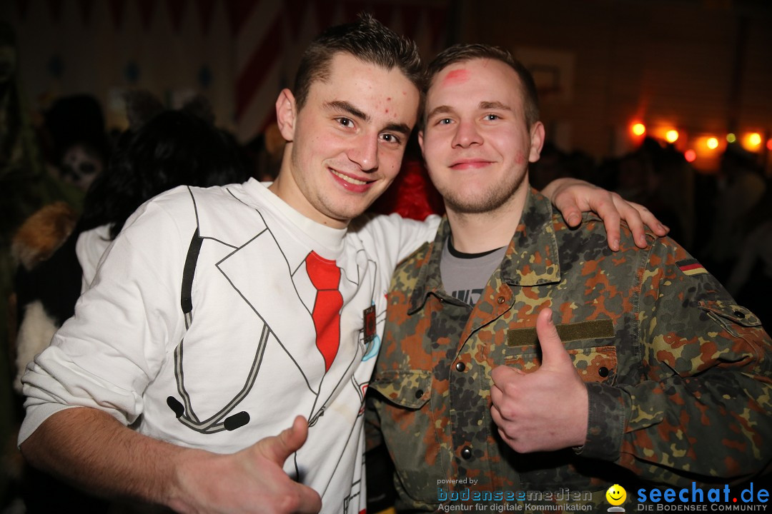 Narrentreffen und Narrenparty: Stockach am Bodensee, 31.01.2015