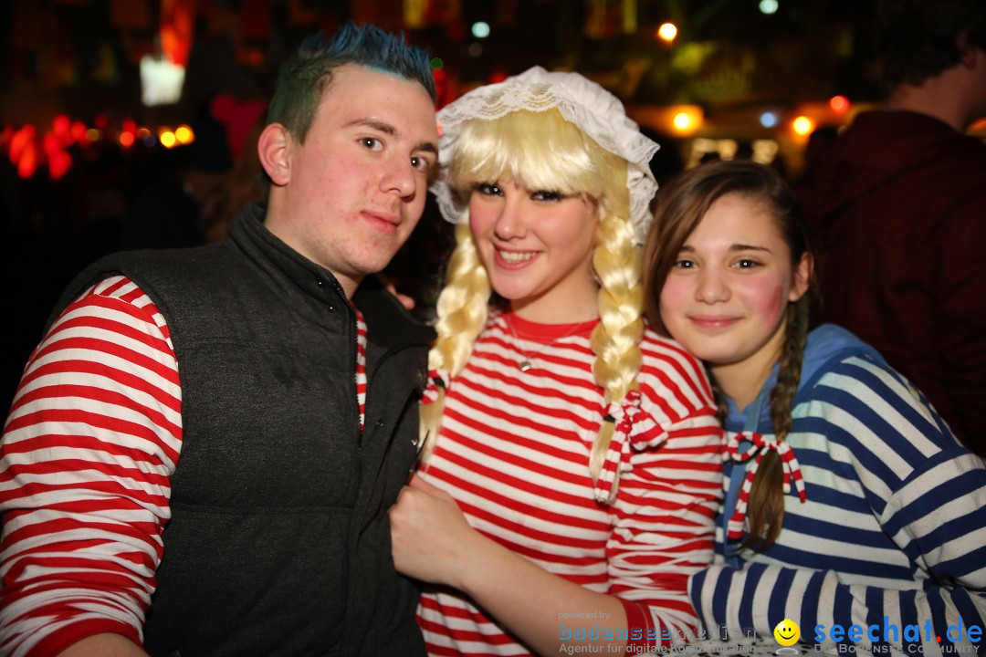 Narrentreffen und Narrenparty: Stockach am Bodensee, 31.01.2015