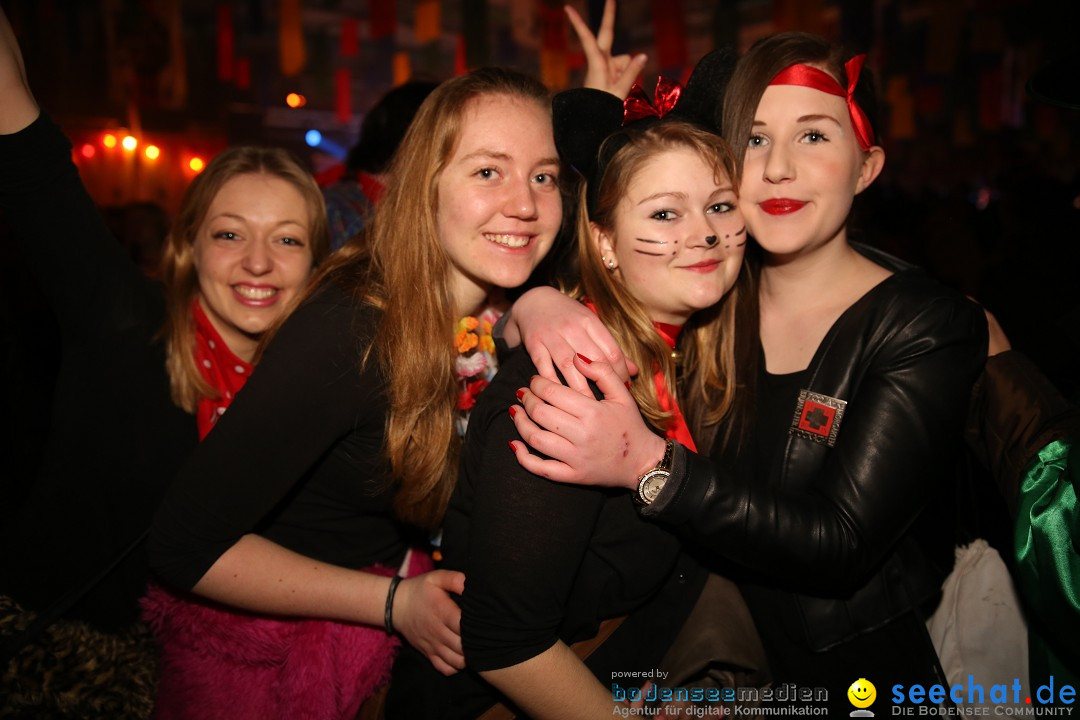 Narrentreffen und Narrenparty: Stockach am Bodensee, 31.01.2015