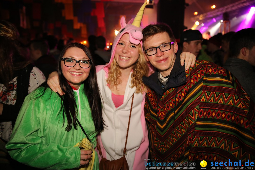 Narrentreffen und Narrenparty: Stockach am Bodensee, 31.01.2015