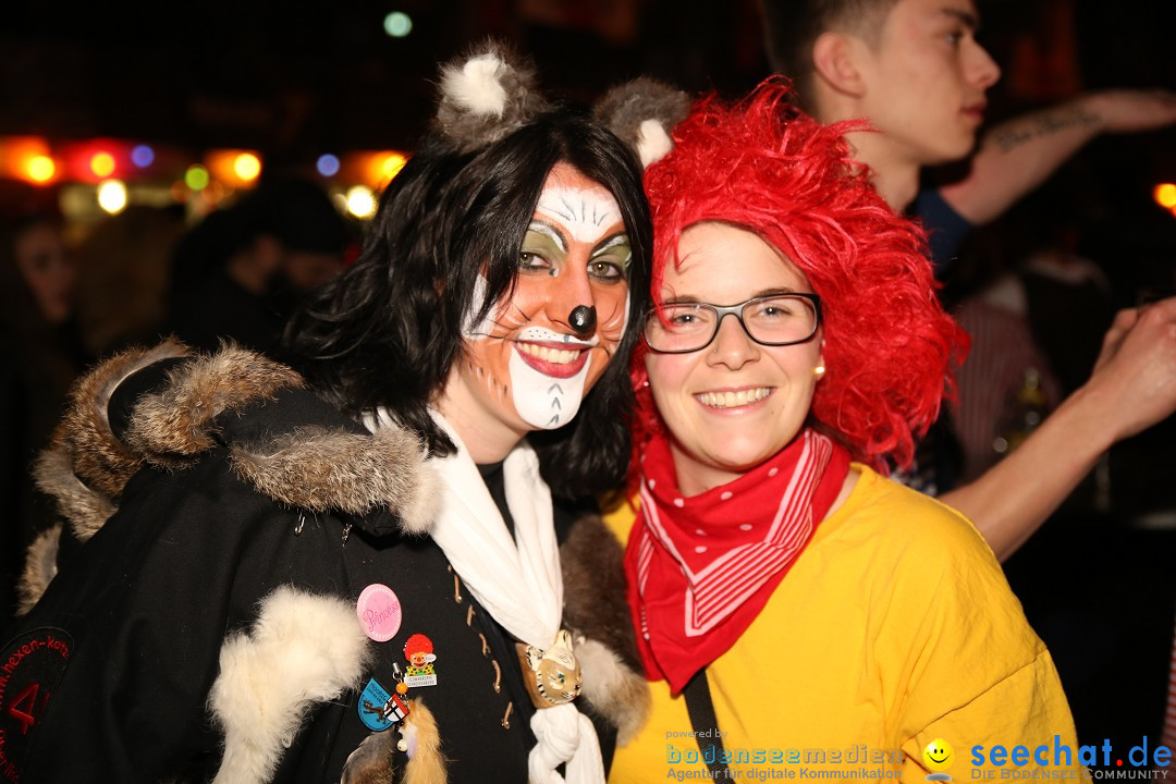 Narrentreffen und Narrenparty: Stockach am Bodensee, 31.01.2015