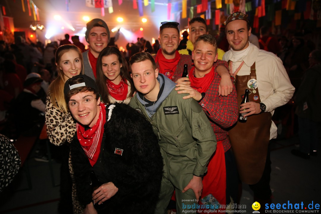 Narrentreffen und Narrenparty: Stockach am Bodensee, 31.01.2015