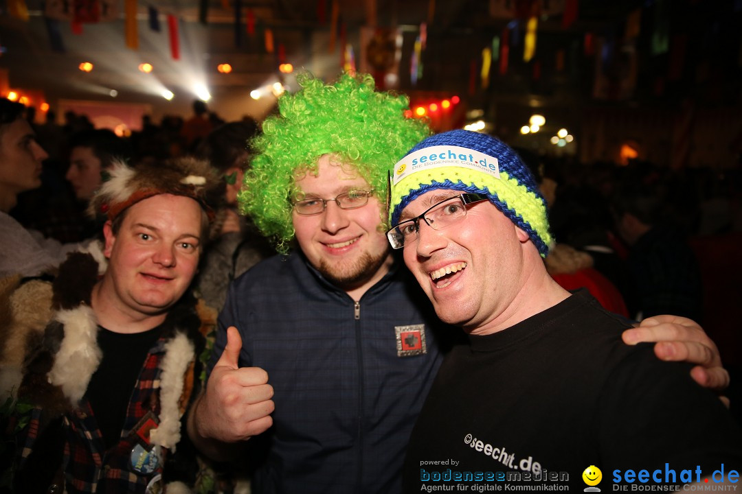 Narrentreffen und Narrenparty: Stockach am Bodensee, 31.01.2015