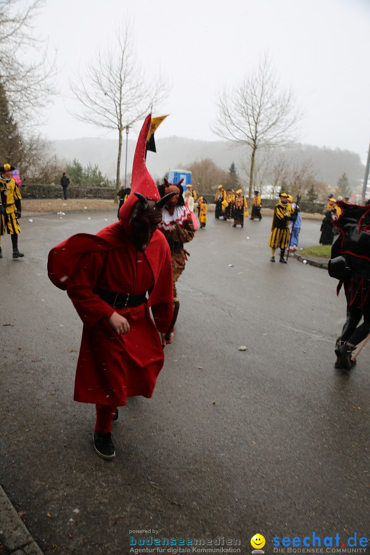 Fasnet Festumzug mit Motivwagen : Stockach am Bodensee, 01.02.2015