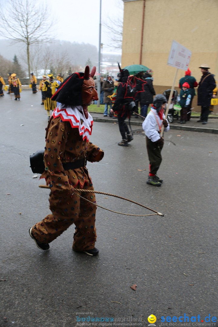 Fasnet Festumzug mit Motivwagen : Stockach am Bodensee, 01.02.2015