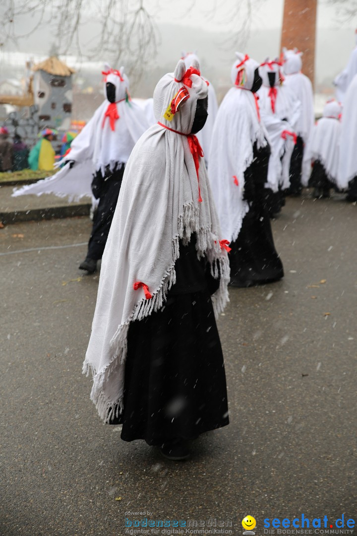 Fasnet Festumzug mit Motivwagen : Stockach am Bodensee, 01.02.2015