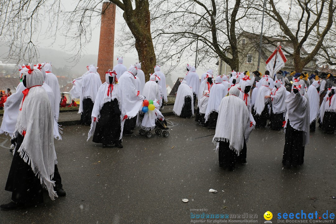 Fasnet Festumzug mit Motivwagen : Stockach am Bodensee, 01.02.2015