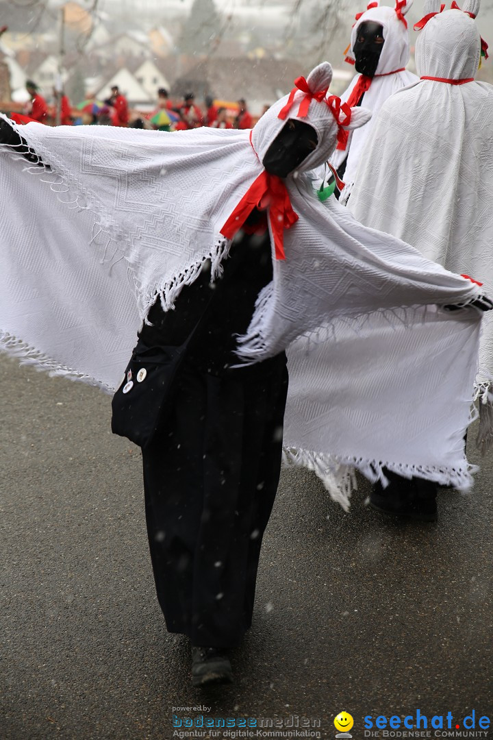 Fasnet Festumzug mit Motivwagen : Stockach am Bodensee, 01.02.2015