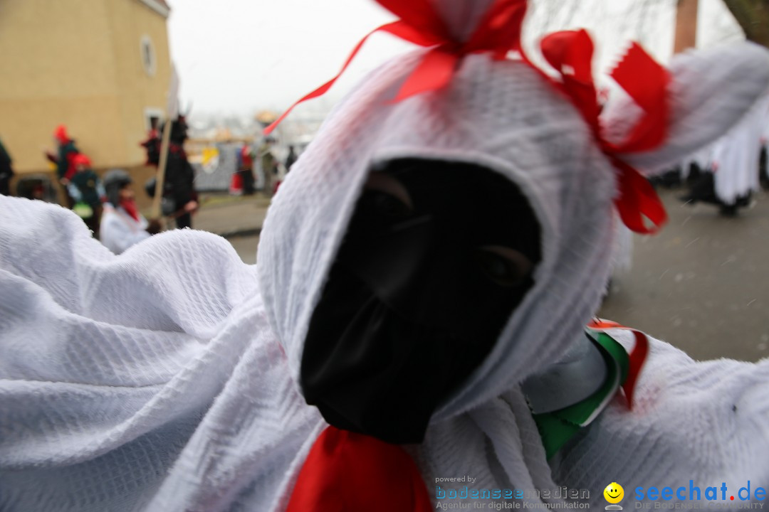 Fasnet Festumzug mit Motivwagen : Stockach am Bodensee, 01.02.2015