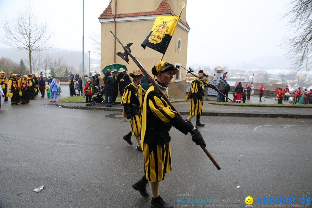 Fasnet Festumzug mit Motivwagen : Stockach am Bodensee, 01.02.2015