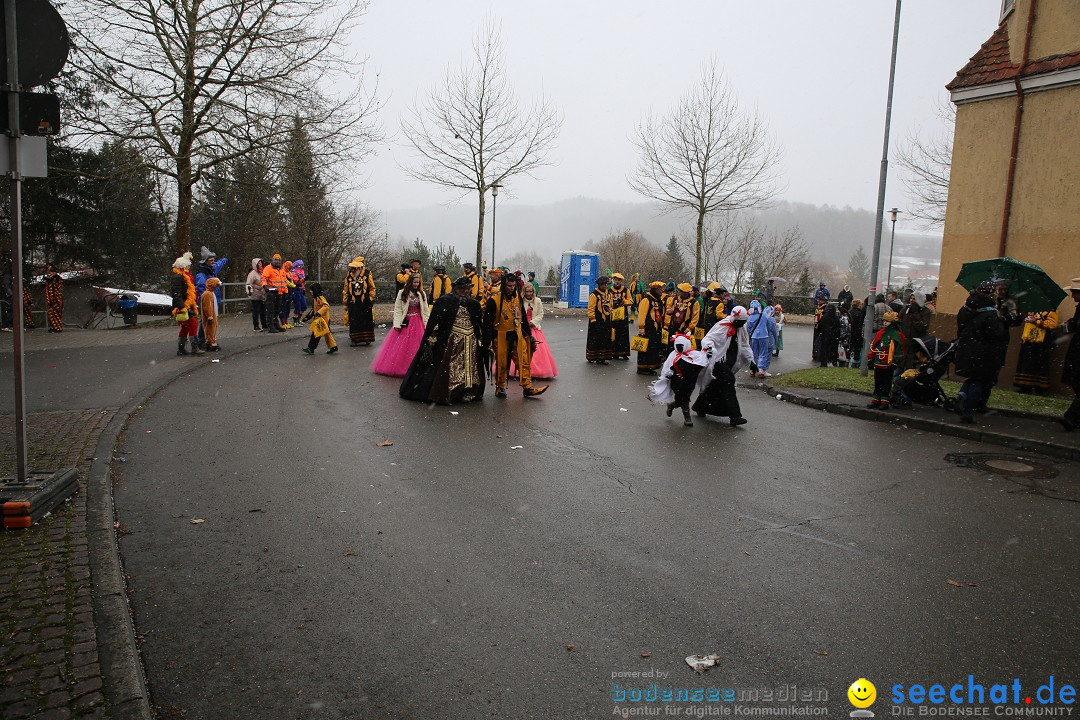 Fasnet Festumzug mit Motivwagen : Stockach am Bodensee, 01.02.2015