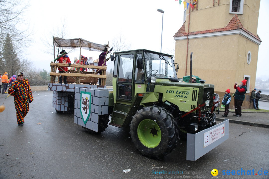 Fasnet Festumzug mit Motivwagen : Stockach am Bodensee, 01.02.2015