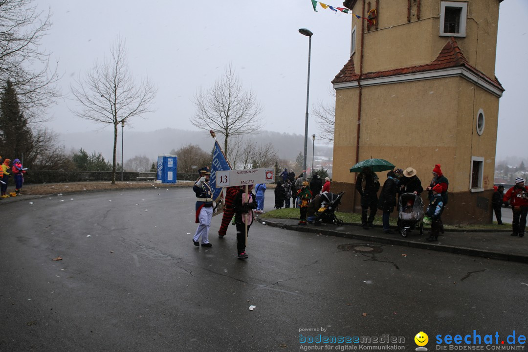 Fasnet Festumzug mit Motivwagen : Stockach am Bodensee, 01.02.2015