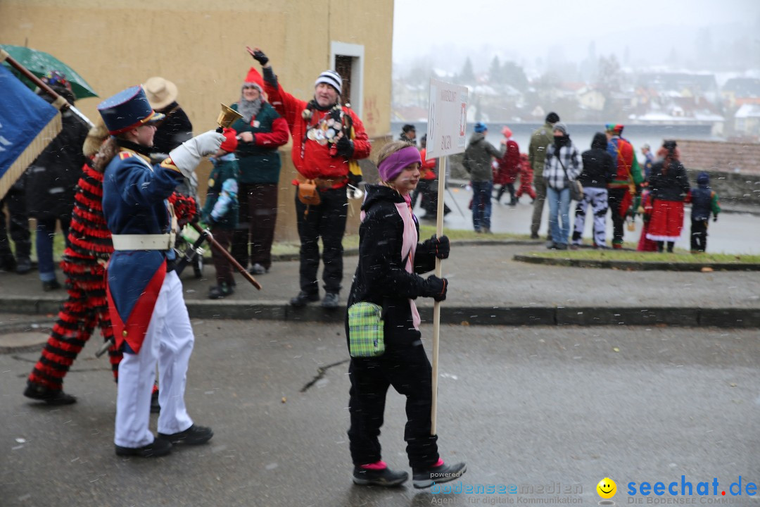 Fasnet Festumzug mit Motivwagen : Stockach am Bodensee, 01.02.2015