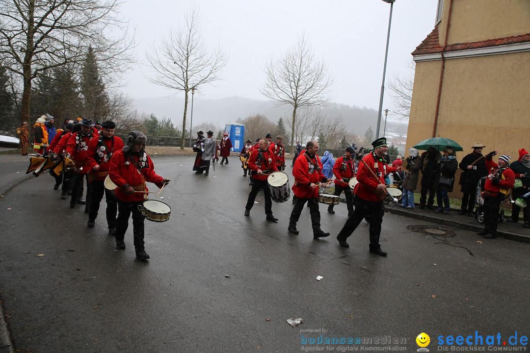 Fasnet Festumzug mit Motivwagen : Stockach am Bodensee, 01.02.2015