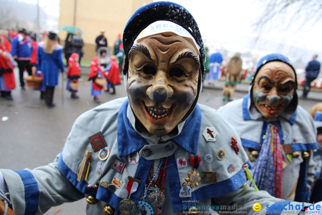 Fasnet Festumzug mit Motivwagen : Stockach am Bodensee, 01.02.2015