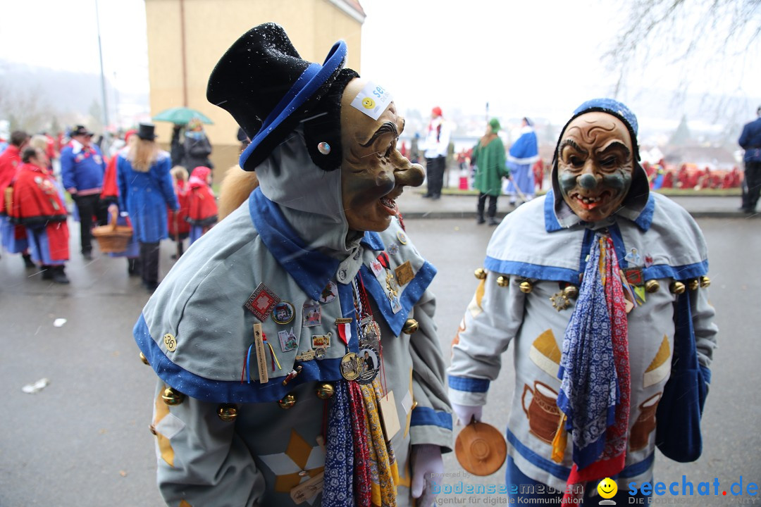 Fasnet Festumzug mit Motivwagen : Stockach am Bodensee, 01.02.2015