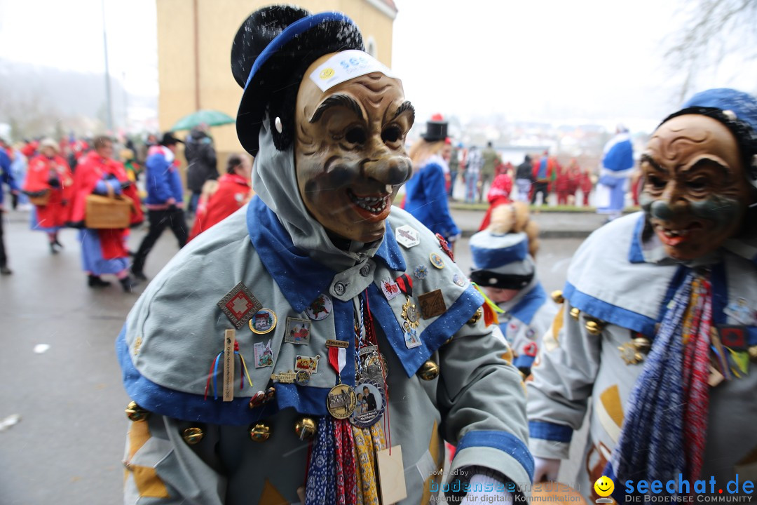 Fasnet Festumzug mit Motivwagen : Stockach am Bodensee, 01.02.2015