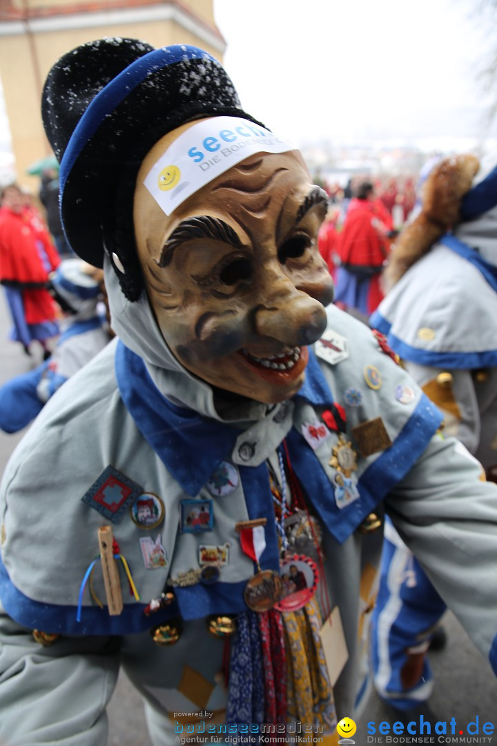 Fasnet Festumzug mit Motivwagen : Stockach am Bodensee, 01.02.2015