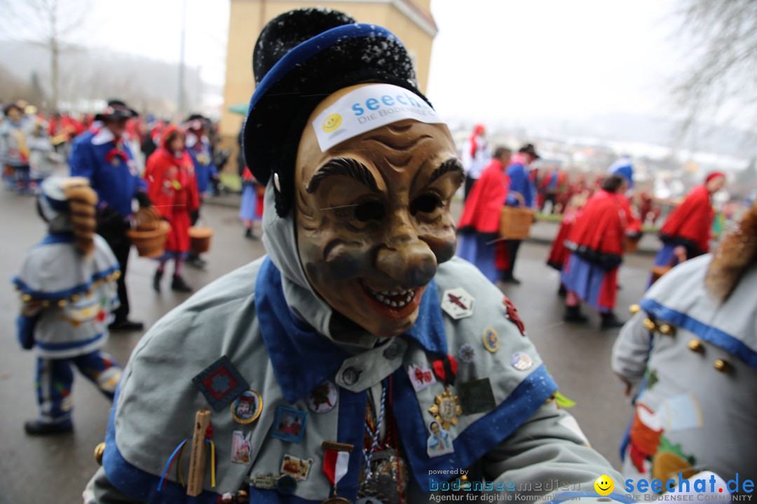 Fasnet Festumzug mit Motivwagen : Stockach am Bodensee, 01.02.2015