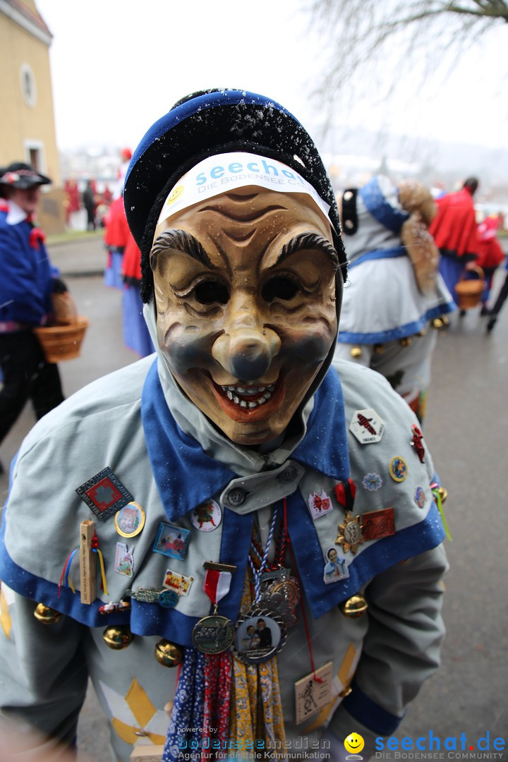 Fasnet Festumzug mit Motivwagen : Stockach am Bodensee, 01.02.2015