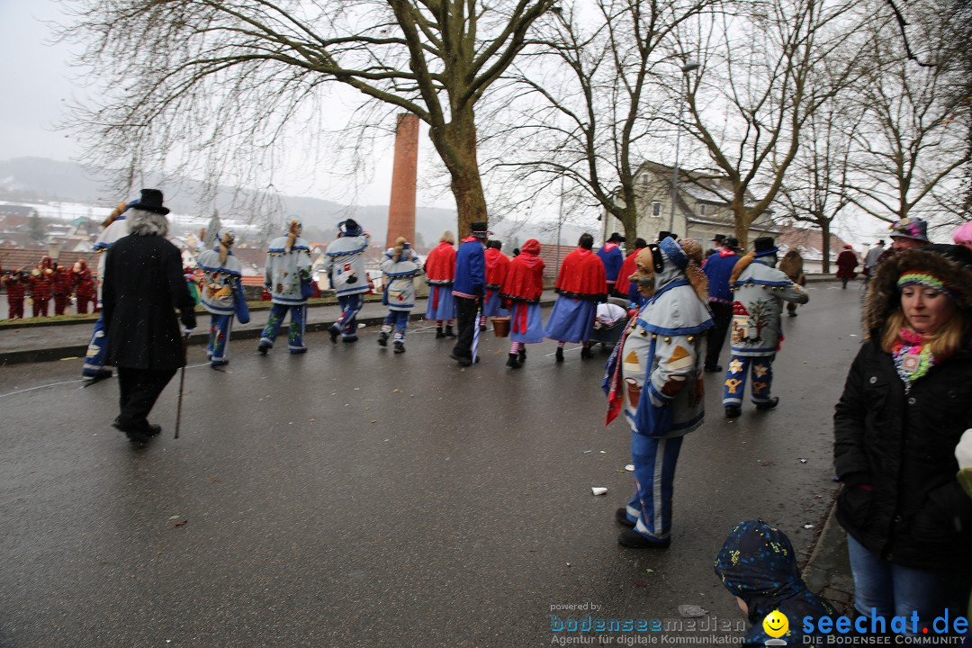 Fasnet Festumzug mit Motivwagen : Stockach am Bodensee, 01.02.2015