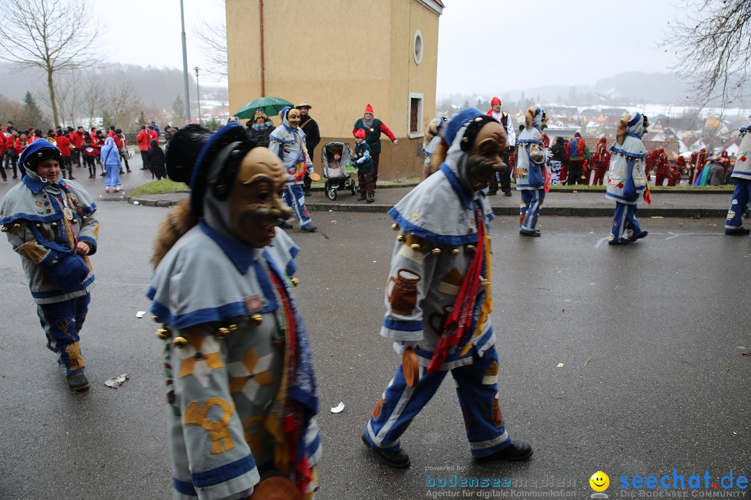 Fasnet Festumzug mit Motivwagen : Stockach am Bodensee, 01.02.2015