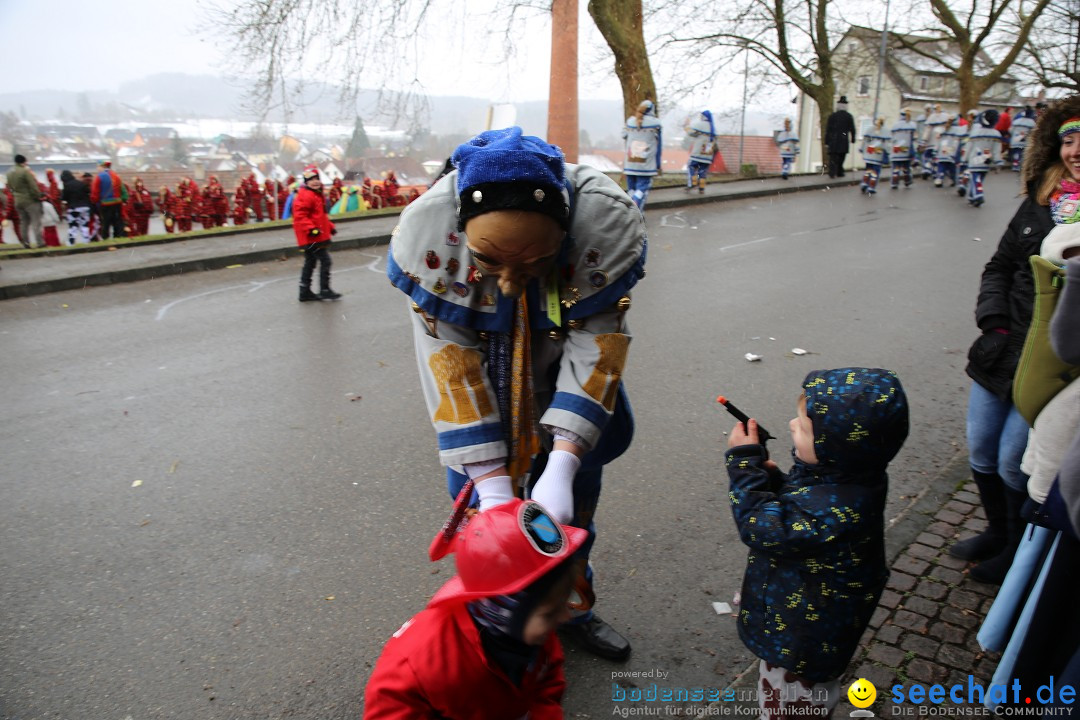 Fasnet Festumzug mit Motivwagen : Stockach am Bodensee, 01.02.2015