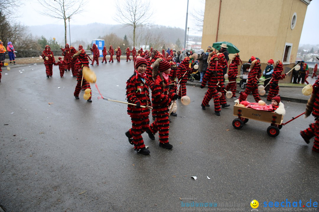 Fasnet Festumzug mit Motivwagen : Stockach am Bodensee, 01.02.2015