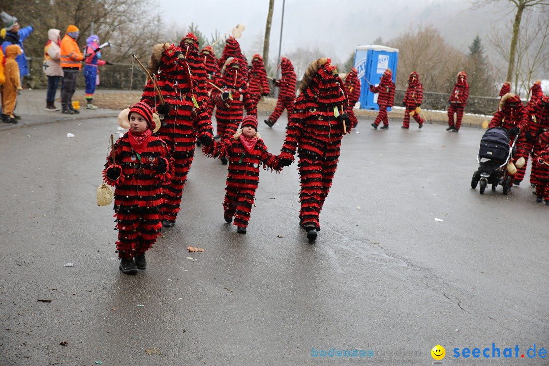 Fasnet Festumzug mit Motivwagen : Stockach am Bodensee, 01.02.2015