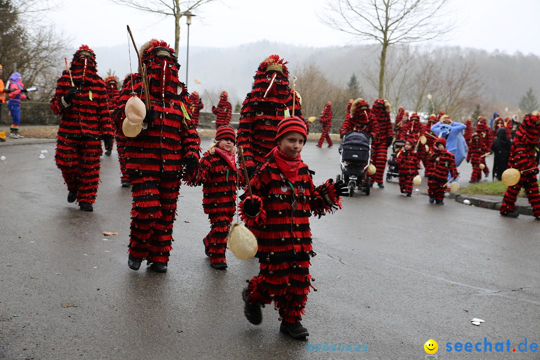 Fasnet Festumzug mit Motivwagen : Stockach am Bodensee, 01.02.2015