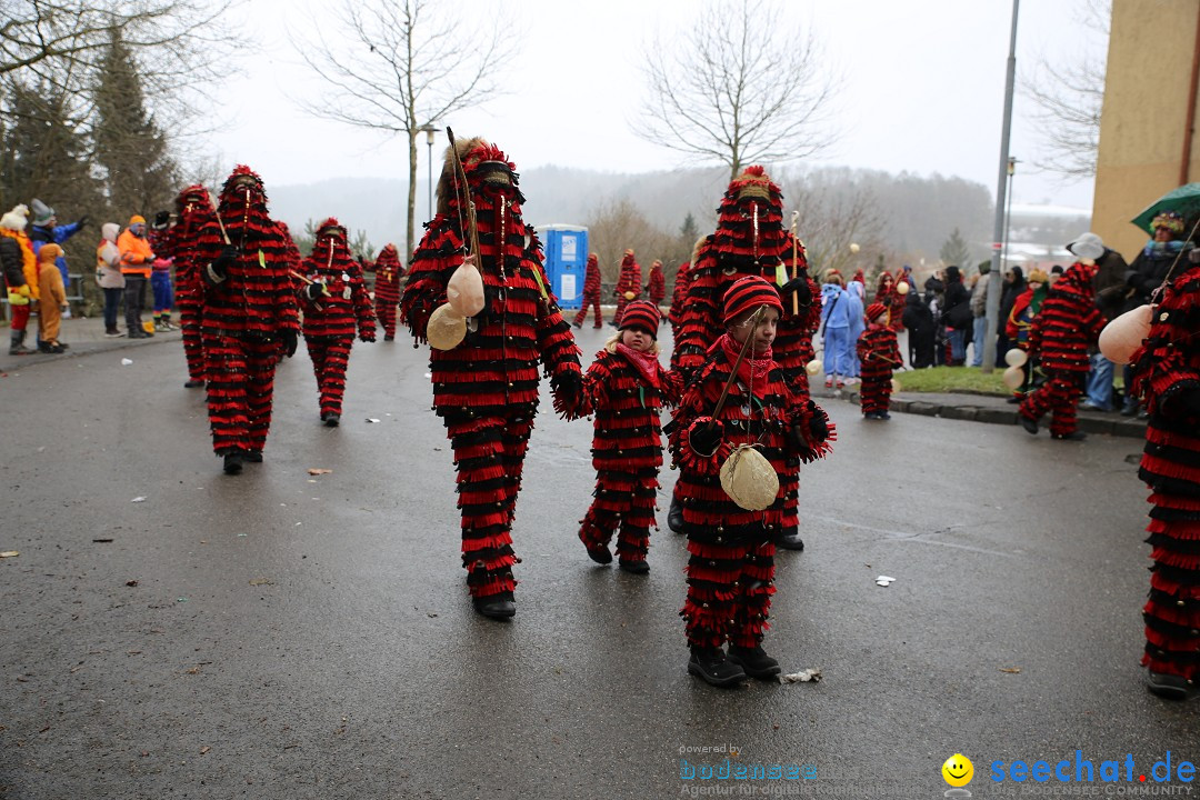 Fasnet Festumzug mit Motivwagen : Stockach am Bodensee, 01.02.2015