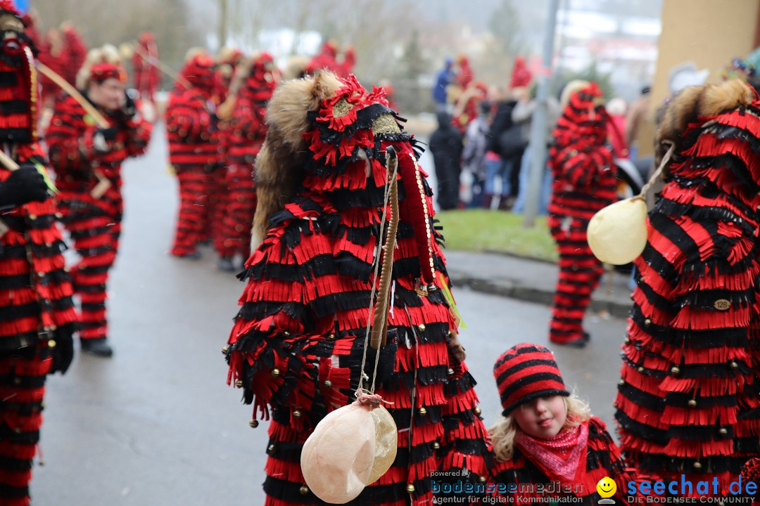 Fasnet Festumzug mit Motivwagen : Stockach am Bodensee, 01.02.2015