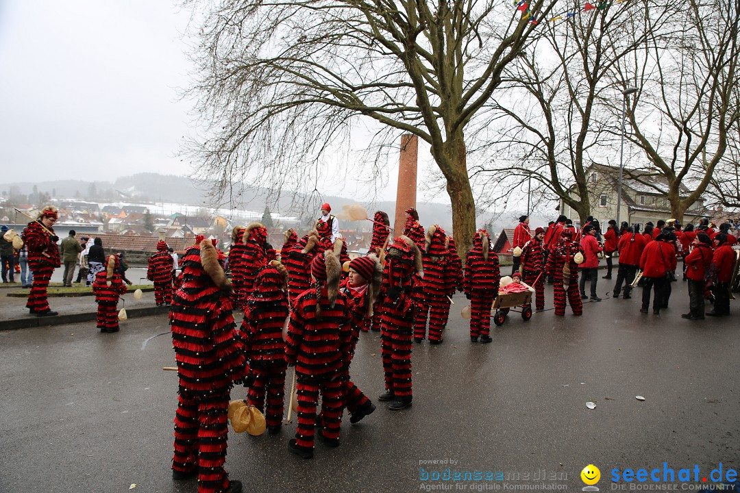 Fasnet Festumzug mit Motivwagen : Stockach am Bodensee, 01.02.2015