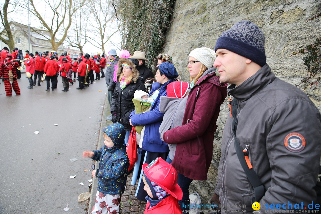 Fasnet Festumzug mit Motivwagen : Stockach am Bodensee, 01.02.2015