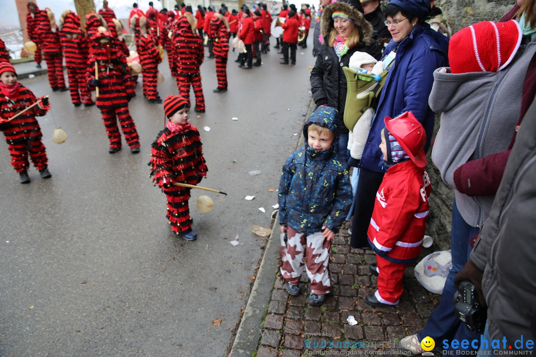 Fasnet Festumzug mit Motivwagen : Stockach am Bodensee, 01.02.2015