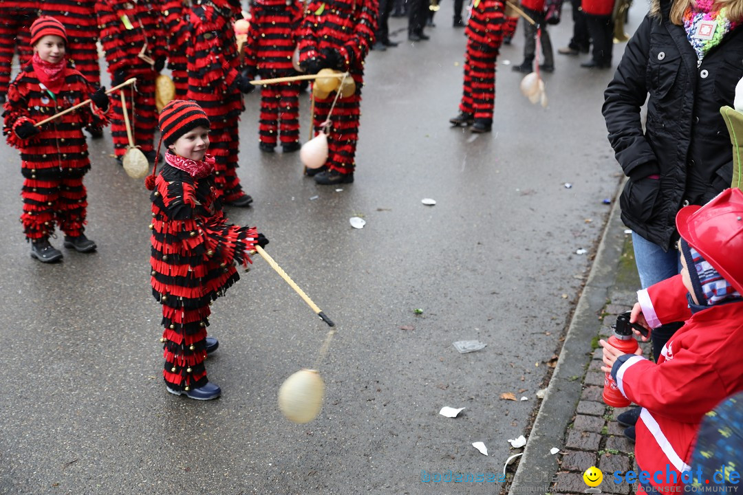 Fasnet Festumzug mit Motivwagen : Stockach am Bodensee, 01.02.2015